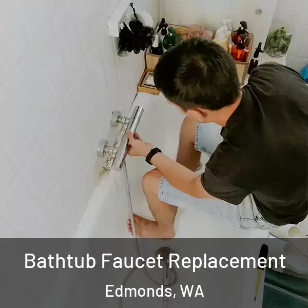  Bathtub Faucet Replacement Edmonds, WA