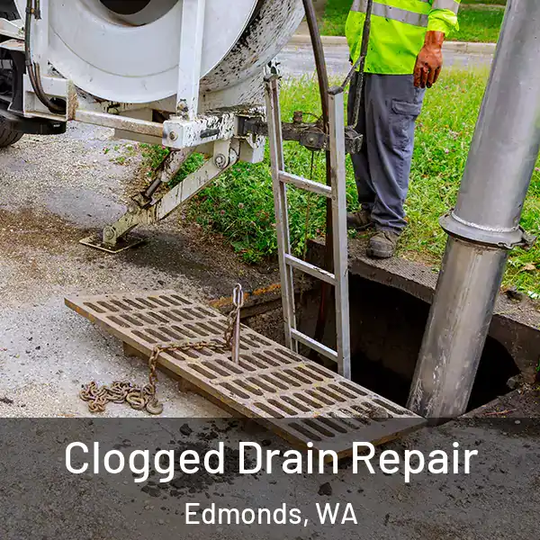  Clogged Drain Repair Edmonds, WA