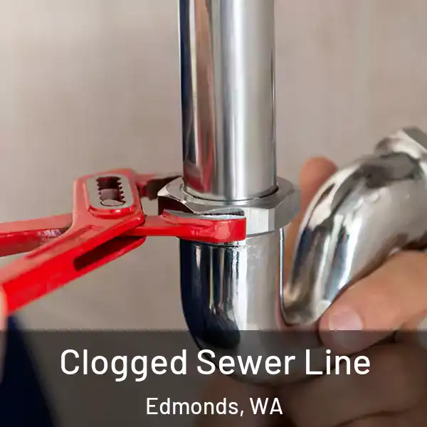  Clogged Sewer Line Edmonds, WA