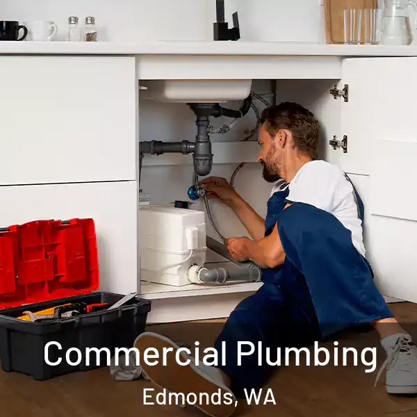  Commercial Plumbing Edmonds, WA