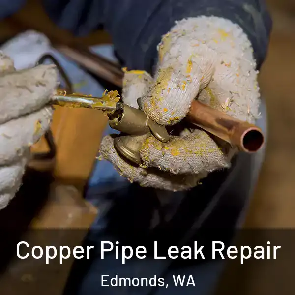  Copper Pipe Leak Repair Edmonds, WA