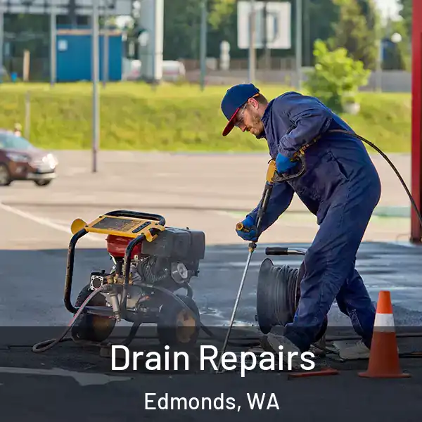  Drain Repairs Edmonds, WA