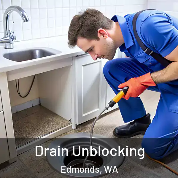  Drain Unblocking Edmonds, WA