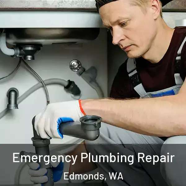  Emergency Plumbing Repair Edmonds, WA