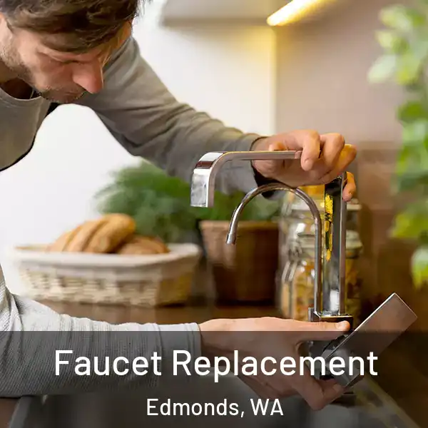  Faucet Replacement Edmonds, WA