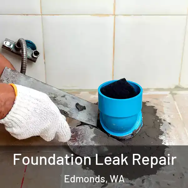  Foundation Leak Repair Edmonds, WA