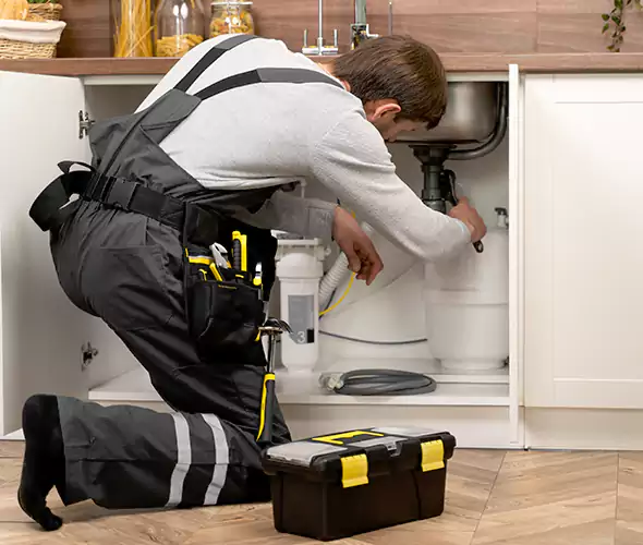 Certified Plumbers for Insinkerator Installation in Edmonds