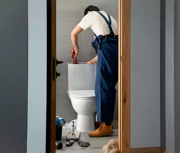 Professional Plumbers for Toilet Bowl Replacement in Edmonds, WA: Schedule Affordable Toilet Replacement Services With Us