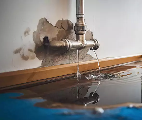 Professional Water Damage Restoration Experts in Edmonds, WA — Fast, Reliable & Certified