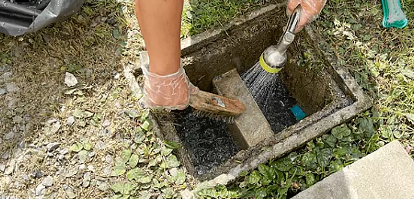 Professional Grease Trap Cleaning Services in Edmonds, WA