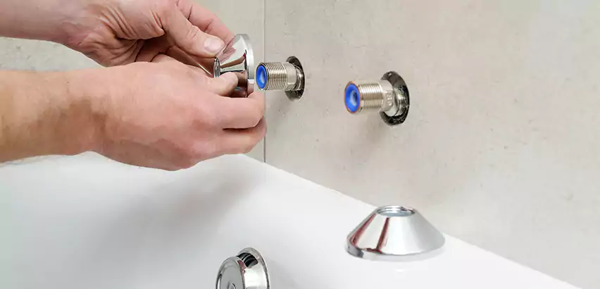 Bathtub Faucet Diverter Replacement in Edmonds