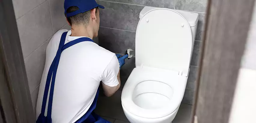 Toilet Lid Replacement in Edmonds