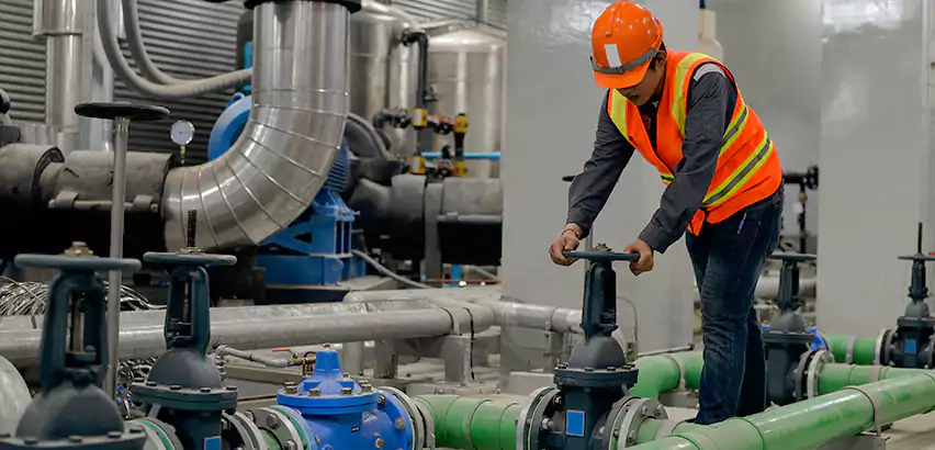 Top-Notch Trenchless Sewer Line Repair Services in Edmonds, WA.