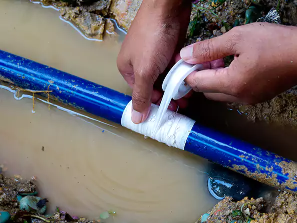 Why Choose Edmonds Plumbing Pro for Leak Detection in Edmonds, WA?]