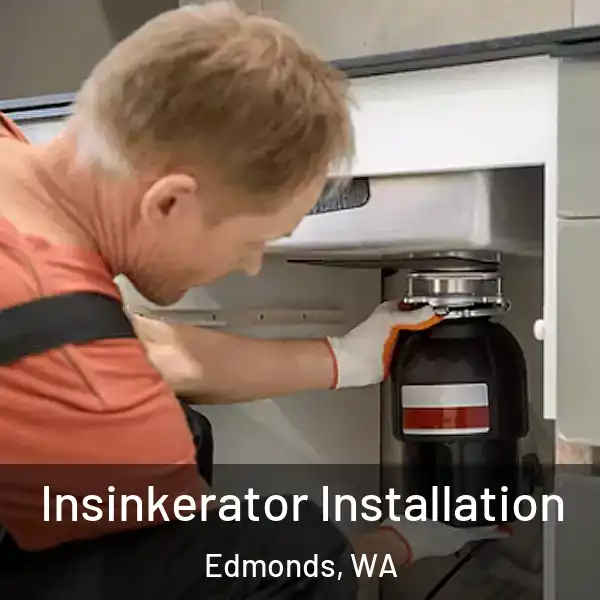  Insinkerator Installation Edmonds, WA