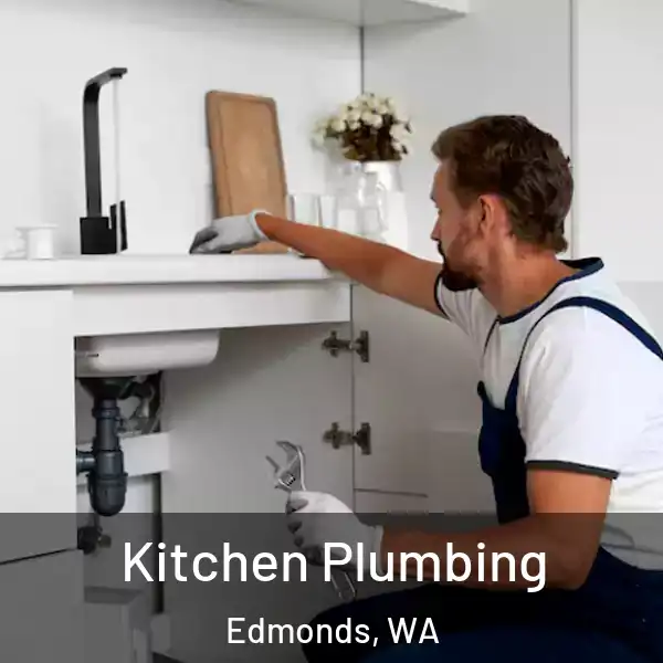  Kitchen Plumbing Edmonds, WA