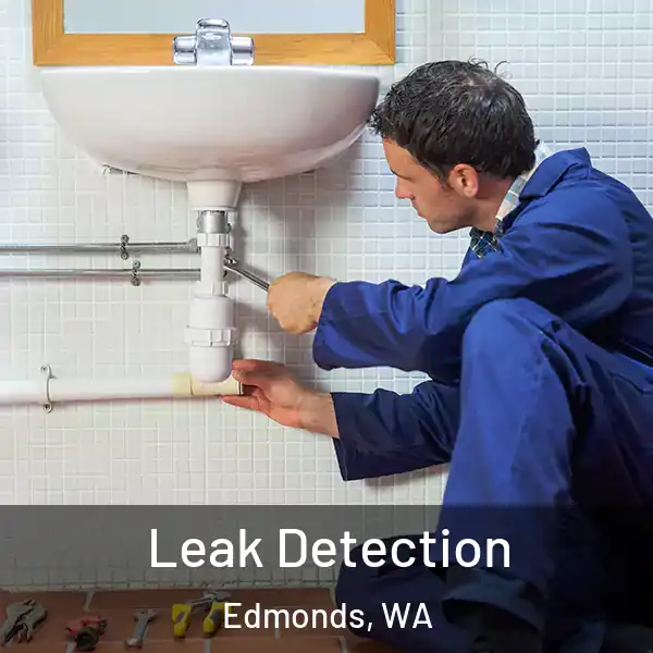 Leak Detection Edmonds, WA