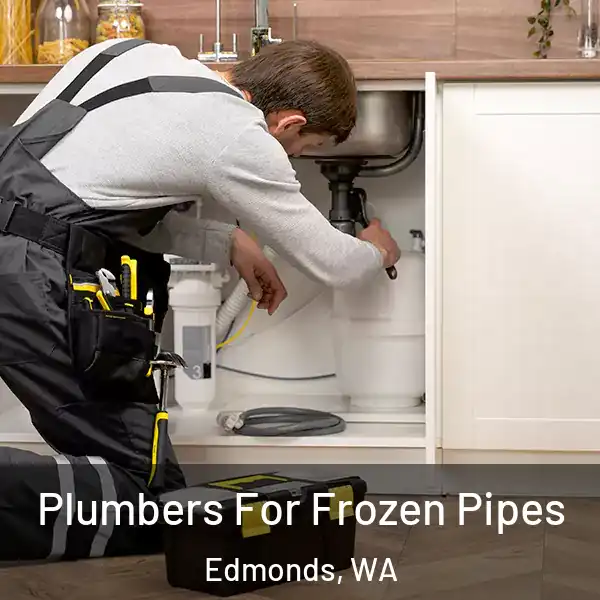  Plumbers For Frozen Pipes Edmonds, WA
