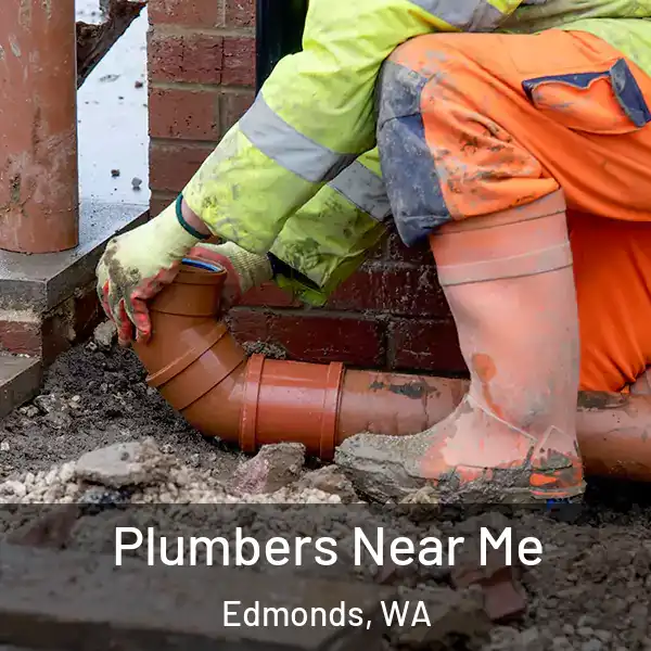  Plumbers Near Me Edmonds, WA