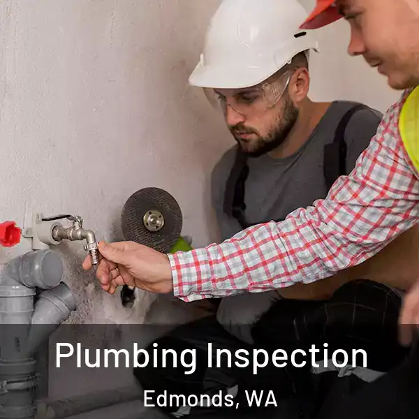  Plumbing Inspection Edmonds, WA