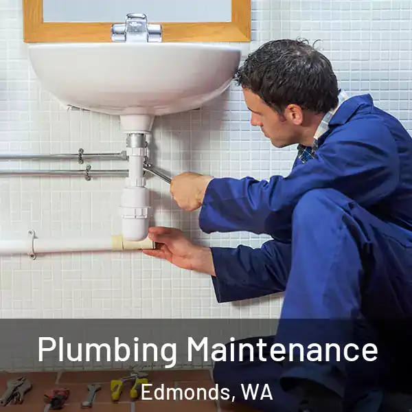  Plumbing Maintenance Edmonds, WA