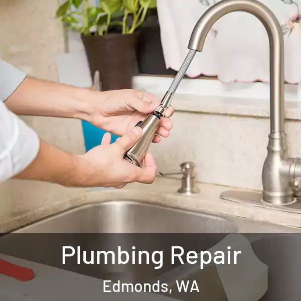  Plumbing Repair Edmonds, WA