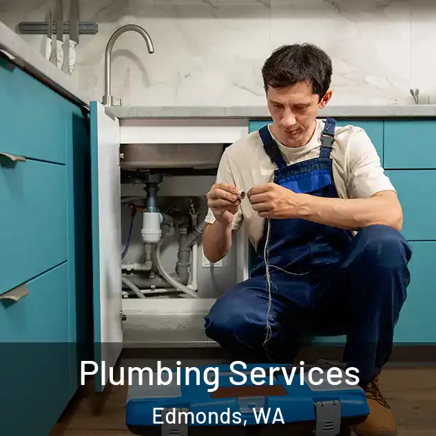  Plumbing Services Edmonds, WA