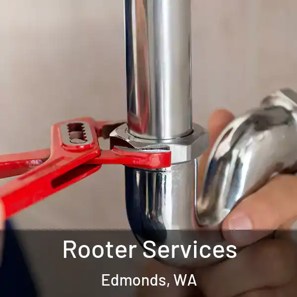  Rooter Services Edmonds, WA