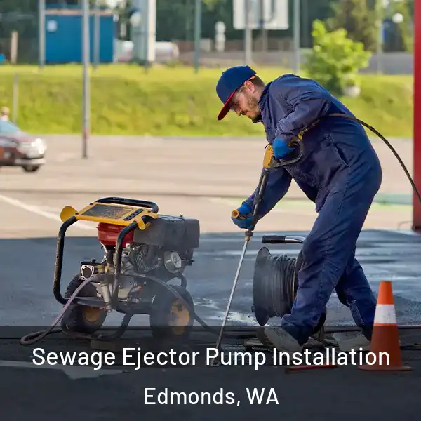  Sewage Ejector Pump Installation Edmonds, WA