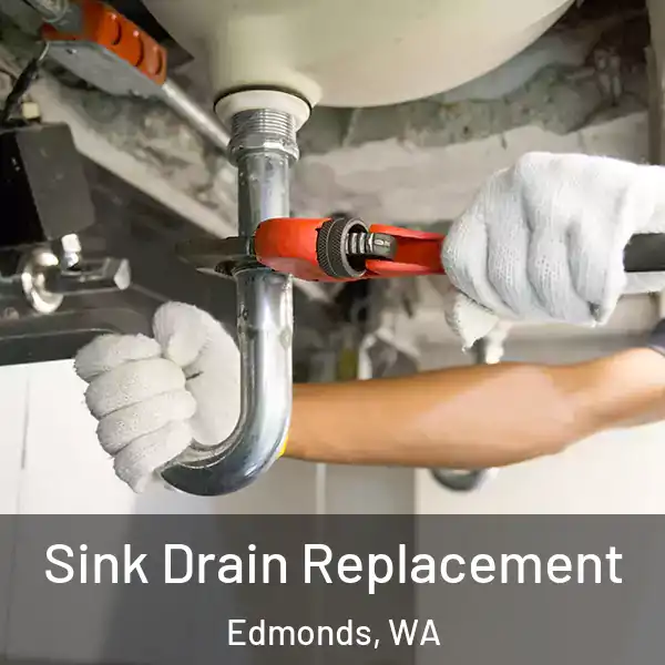  Sink Drain Replacement Edmonds, WA