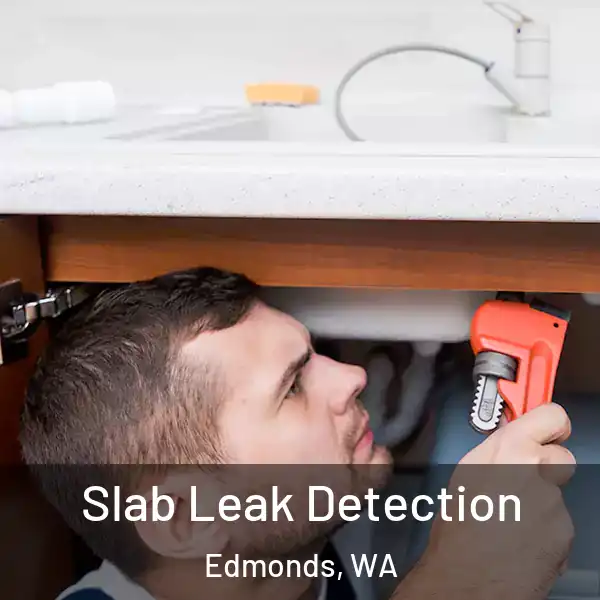  Slab Leak Detection Edmonds, WA