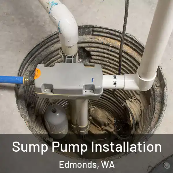 Sump Pump Installation Edmonds, WA