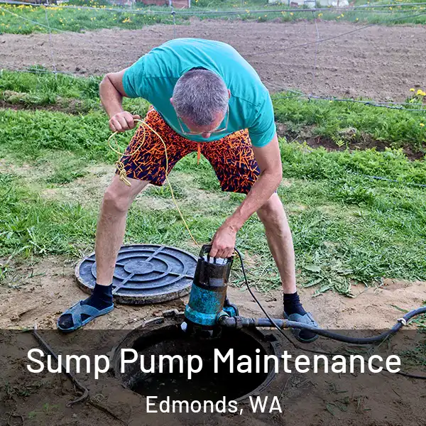  Sump Pump Maintenance Edmonds, WA