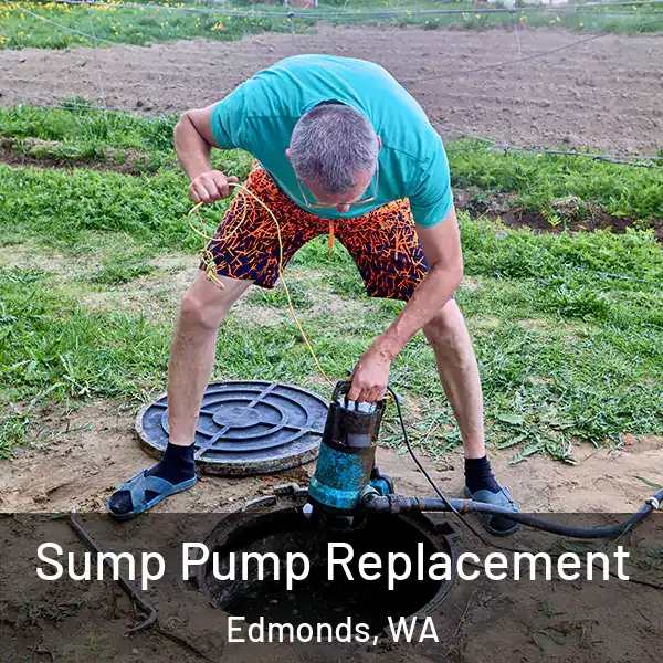  Sump Pump Replacement Edmonds, WA
