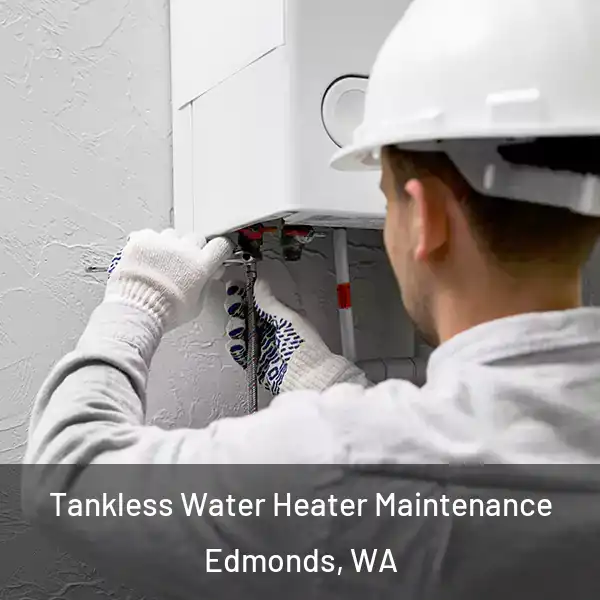  Tankless Water Heater Maintenance Edmonds, WA
