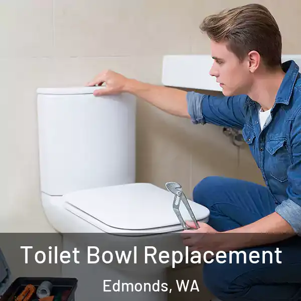  Toilet Bowl Replacement Edmonds, WA
