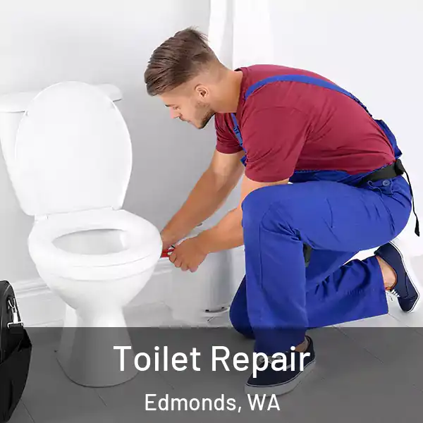  Toilet Repair Edmonds, WA