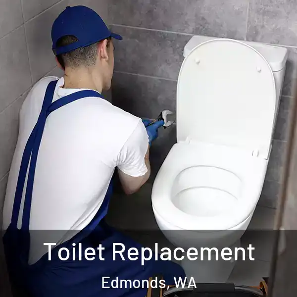  Toilet Replacement Edmonds, WA