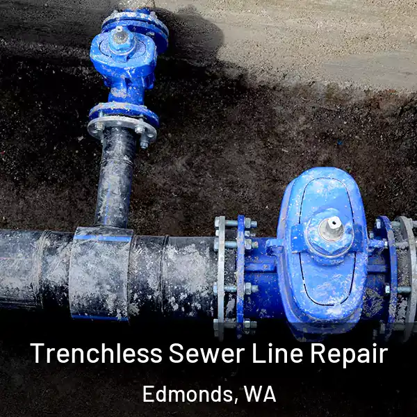  Trenchless Sewer Line Repair Edmonds, WA