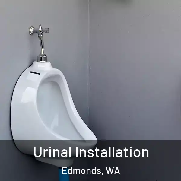  Urinal Installation Edmonds, WA