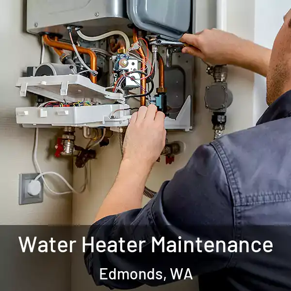  Water Heater Maintenance Edmonds, WA