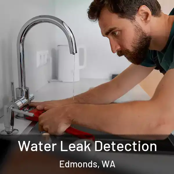 Water Leak Detection Edmonds, WA