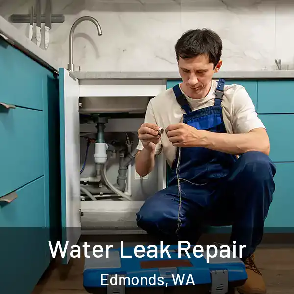  Water Leak Repair Edmonds, WA