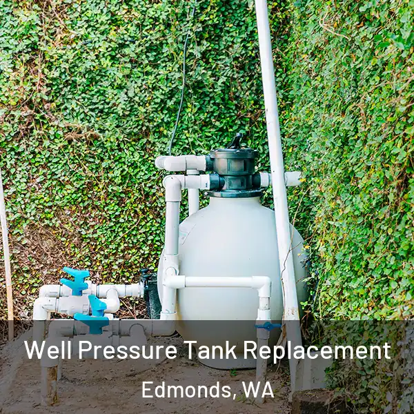  Well Pressure Tank Replacement Edmonds, WA