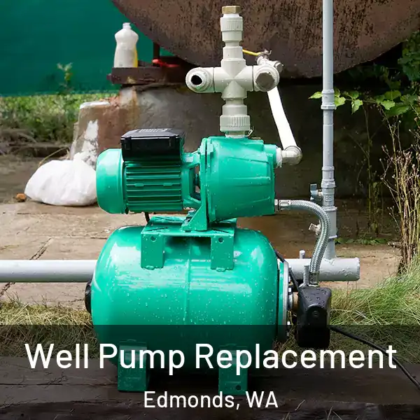  Well Pump Replacement Edmonds, WA